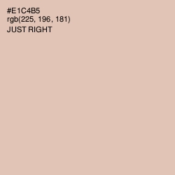 #E1C4B5 - Just Right Color Image